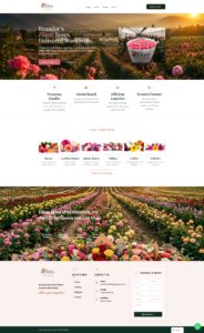 Rosie Farms